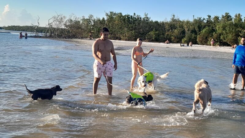 Lee County Parks & Recreation Dog Beach Parking - Fort Myers Beach, FL