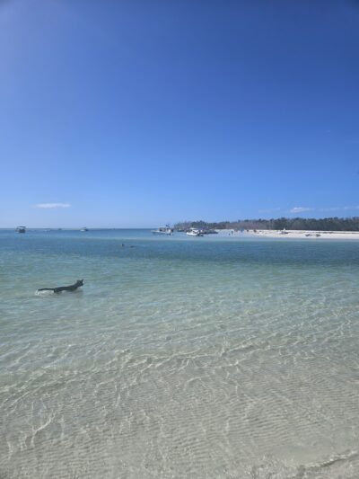 Lee County Parks & Recreation Dog Beach Parking - Fort Myers Beach, FL