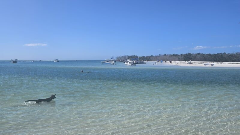 Lee County Parks & Recreation Dog Beach Parking - Fort Myers Beach, FL