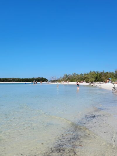 Lee County Parks & Recreation Dog Beach Parking - Fort Myers Beach, FL