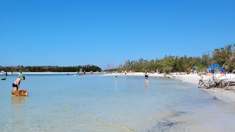 Lee County Parks & Recreation Dog Beach Parking - Fort Myers Beach, FL