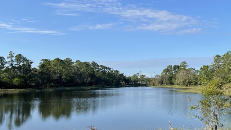 Buckingham Community Park - Fort Myers, FL