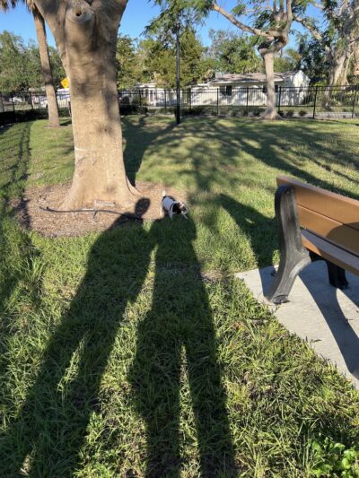 Coronado Park - Fort Myers, FL