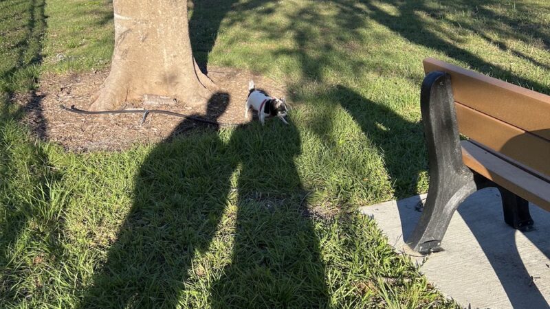 Coronado Park - Fort Myers, FL