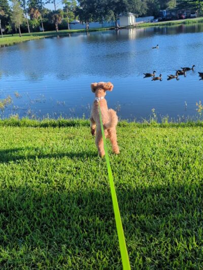 Hunter Park - Fort Myers, FL