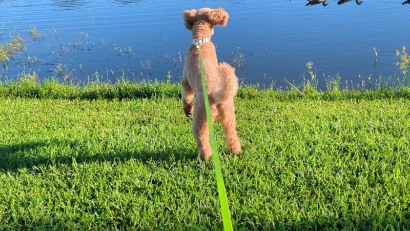 Hunter Park - Fort Myers, FL