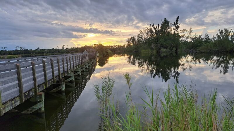Lakes Park - Fort Myers, FL