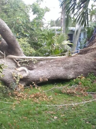 Seminole Park - Fort Myers, FL