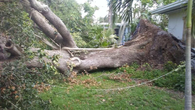 Seminole Park - Fort Myers, FL