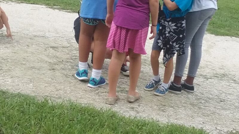 Seminole Park - Fort Myers, FL