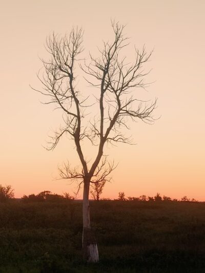 Whitside Loop Trail - Fort Riley, KS