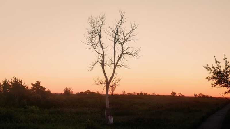 Whitside Loop Trail - Fort Riley, KS