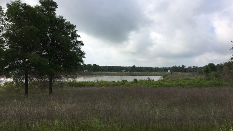 Raymond Gary State Park - Fort Towson, OK