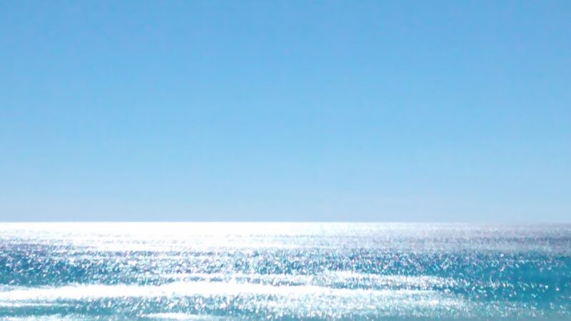 John Beasley Park- No dogs allowed - Fort Walton Beach, FL