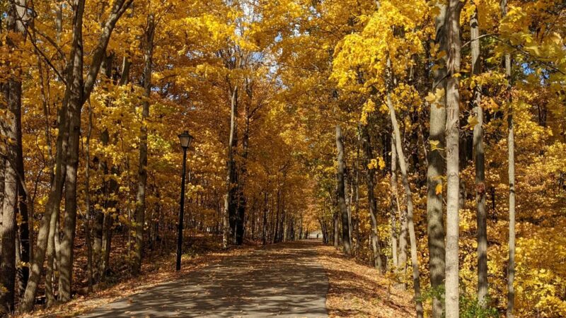 Pufferbelly Trail - Fort Wayne, IN