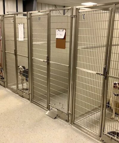 Ruff House | Dog Boarding, Day Care, Indoor Dog Park - Fort Wayne, IN