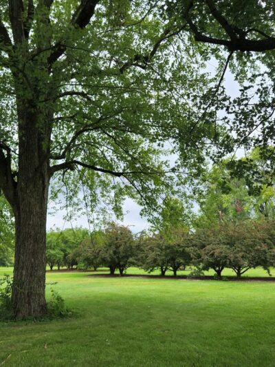 Swinney Park - Fort Wayne, IN
