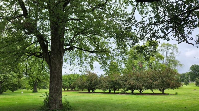 Swinney Park - Fort Wayne, IN