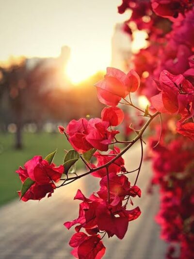 Eastern Hills Park - Fort Worth, TX