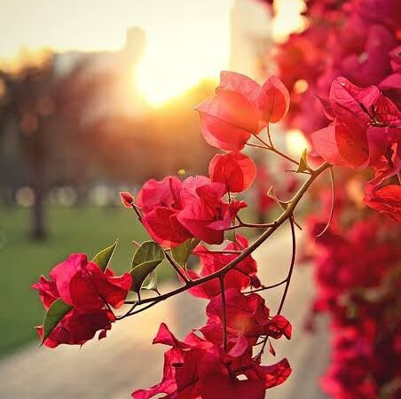 Eastern Hills Park - Fort Worth, TX