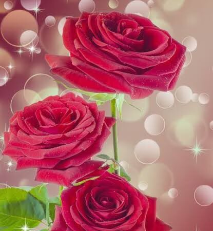 Eastern Hills Park - Fort Worth, TX