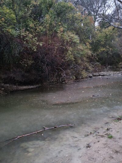 Foster Park - Fort Worth, TX