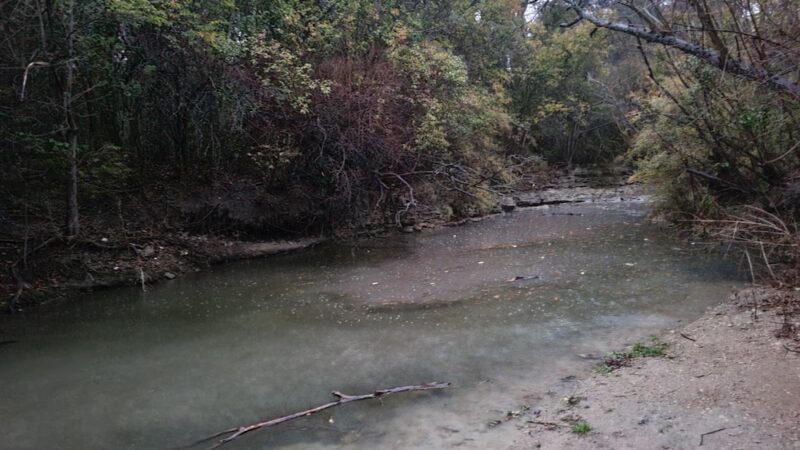 Foster Park - Fort Worth, TX