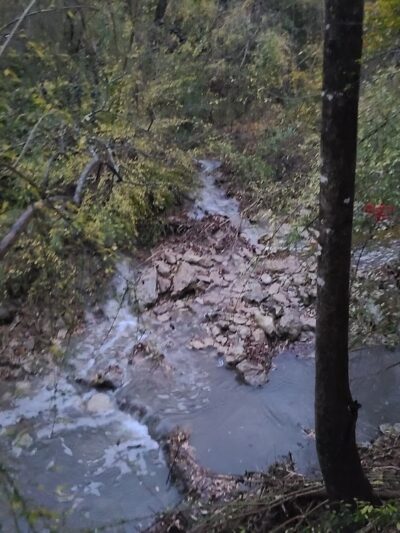 Foster Park - Fort Worth, TX