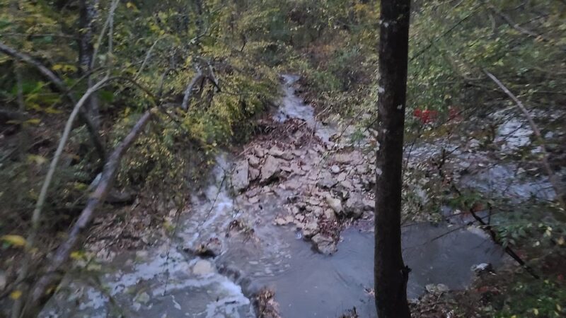 Foster Park - Fort Worth, TX