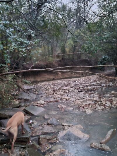 Foster Park - Fort Worth, TX