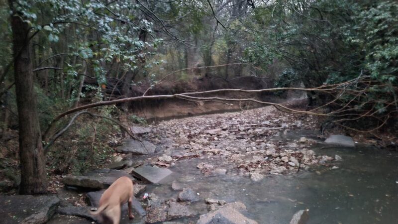 Foster Park - Fort Worth, TX