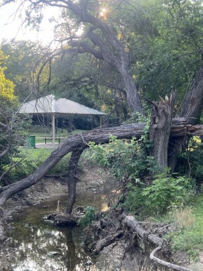 Foster Park - Fort Worth, TX