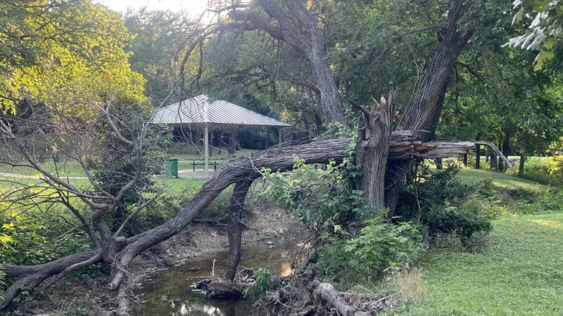 Foster Park - Fort Worth, TX