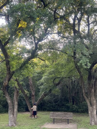 Foster Park - Fort Worth, TX