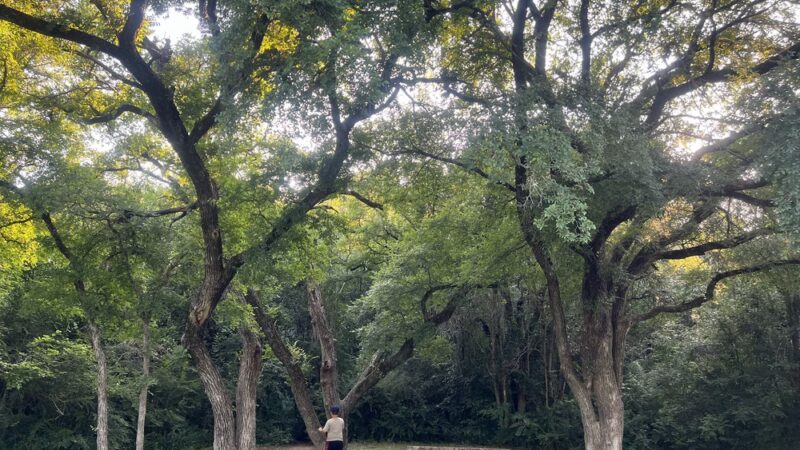 Foster Park - Fort Worth, TX