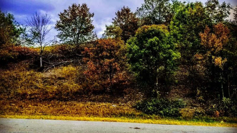 Handley Park - Fort Worth, TX