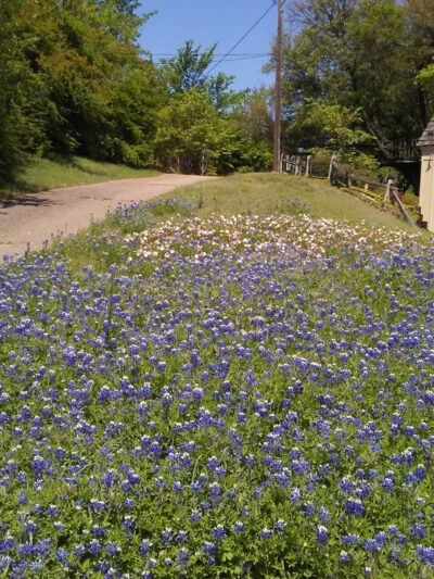 Overton Park - Fort Worth, TX