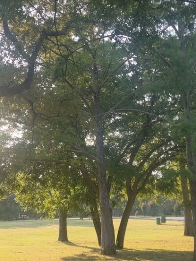 Sandy Lane Park - Fort Worth, TX