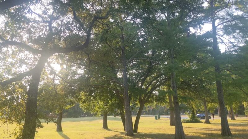 Sandy Lane Park - Fort Worth, TX
