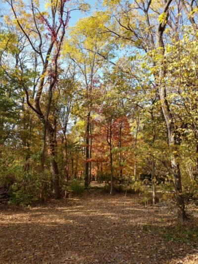 Green Township Community Park - Fortville, IN