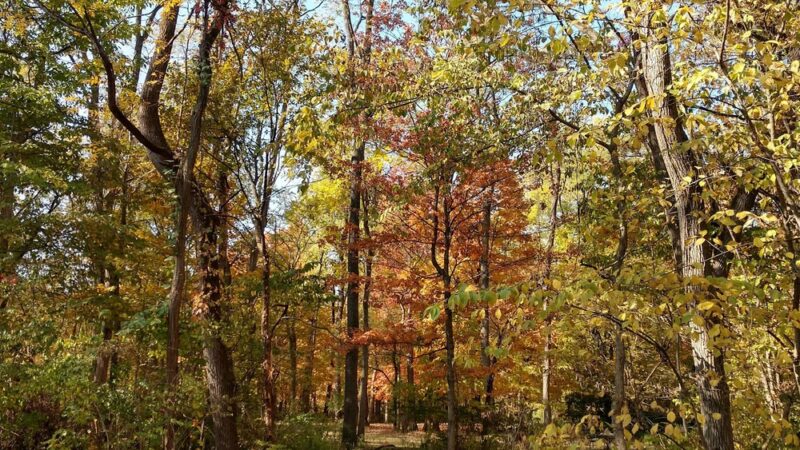 Green Township Community Park - Fortville, IN