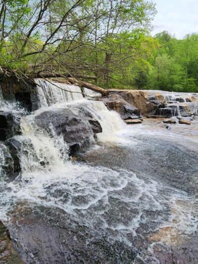 Cedar Falls Park - Fountain Inn, SC