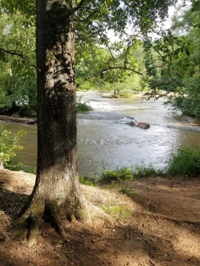 Cedar Falls Park - Fountain Inn, SC