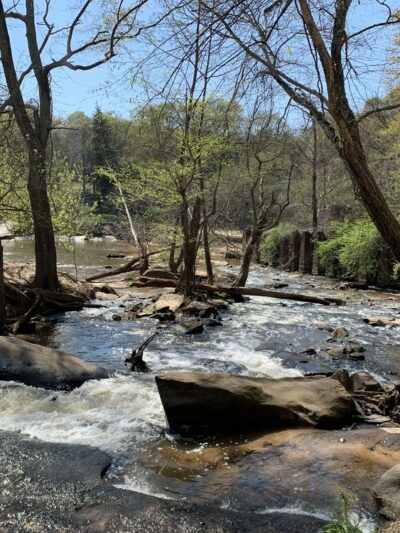 Cedar Falls Park - Fountain Inn, SC