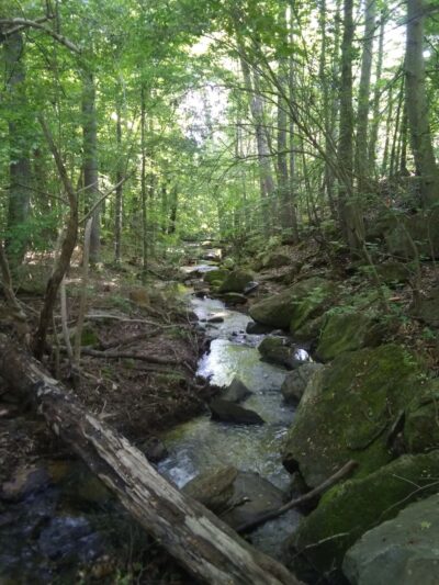 Country Gardens Greenway Park - Fountain Inn, SC