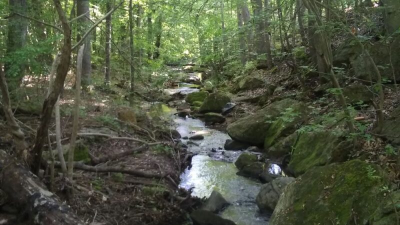 Country Gardens Greenway Park - Fountain Inn, SC
