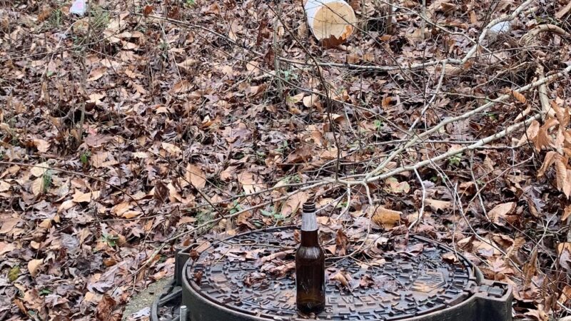 Country Gardens Greenway Park - Fountain Inn, SC