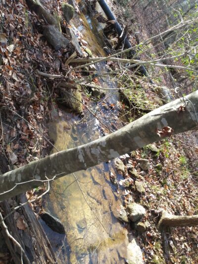 Country Gardens Greenway Park - Fountain Inn, SC