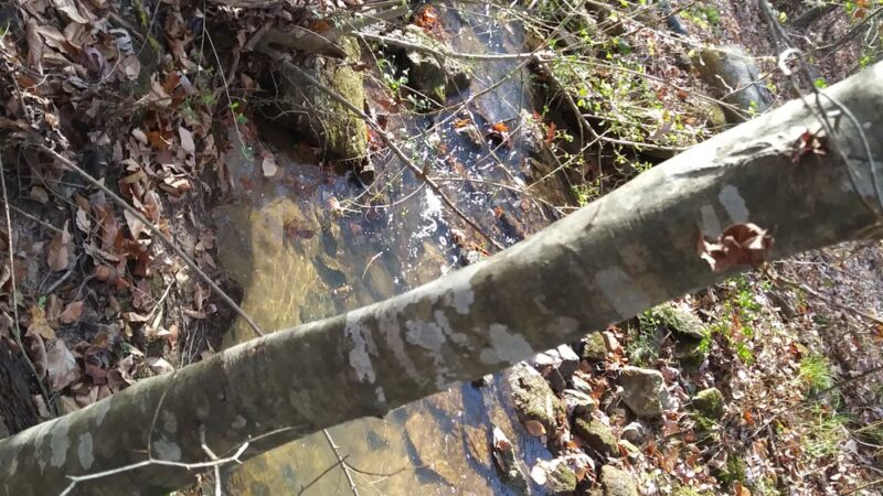 Country Gardens Greenway Park - Fountain Inn, SC