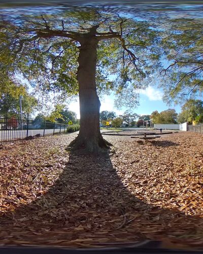 Georgia Street Park - Fountain Inn, SC